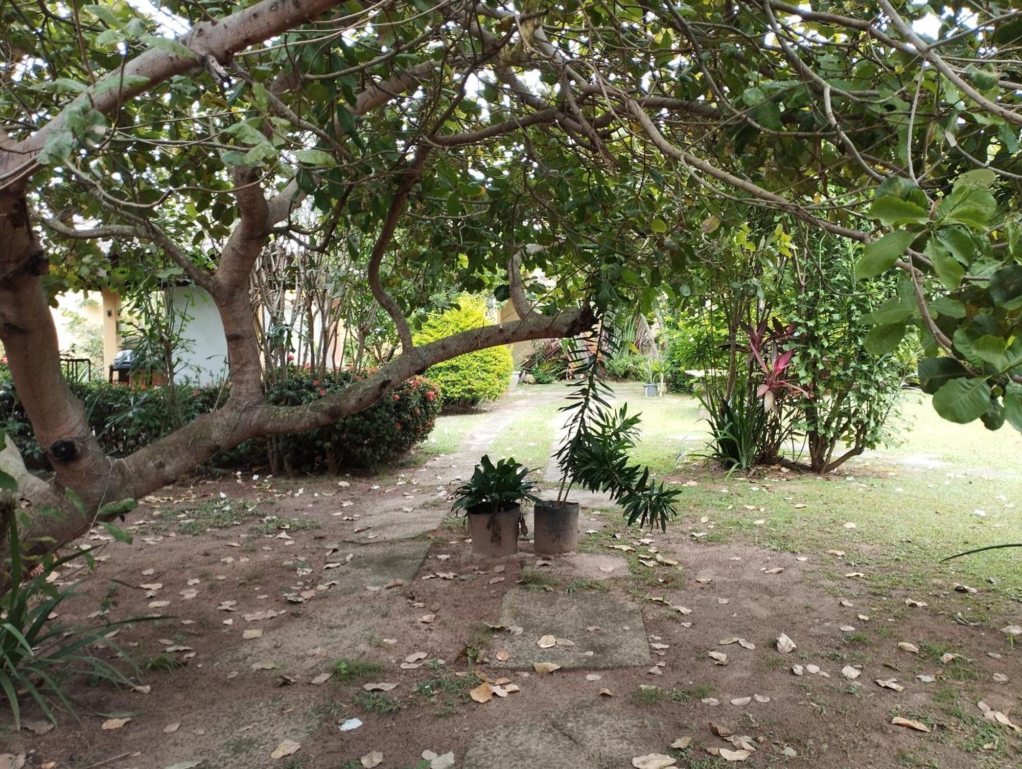 Lumiar Garden Suites E Chales Em Vilas Do Atlantico Lauro de Freitas Exterior foto